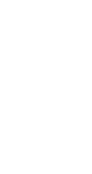 logo alp paa2x