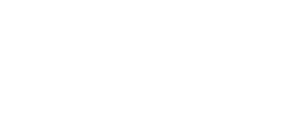 logo nb2x